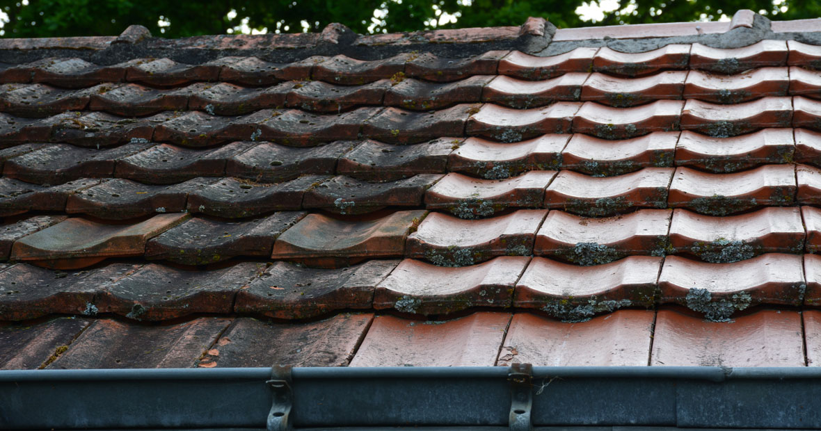 Démoussage de toiture